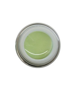 521 - Verde Oliva chiaro Ego Nails Gel Color 5ml